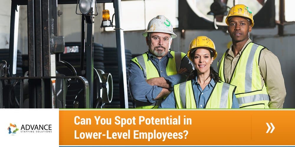 Can You Spot Potential in Lower-Level Employees