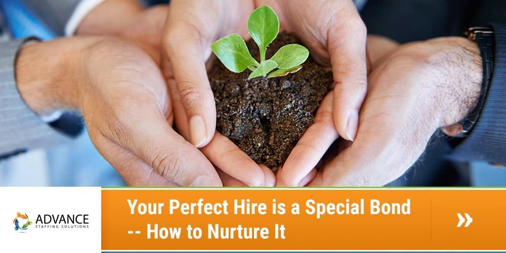Your-Perfect-Hire-is-a-Special-Bond----How-to-Nurture-It