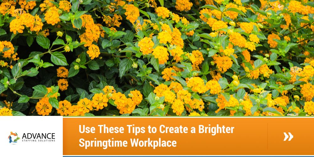 use-these-tips-for-a-brighter-spingtime-workplace